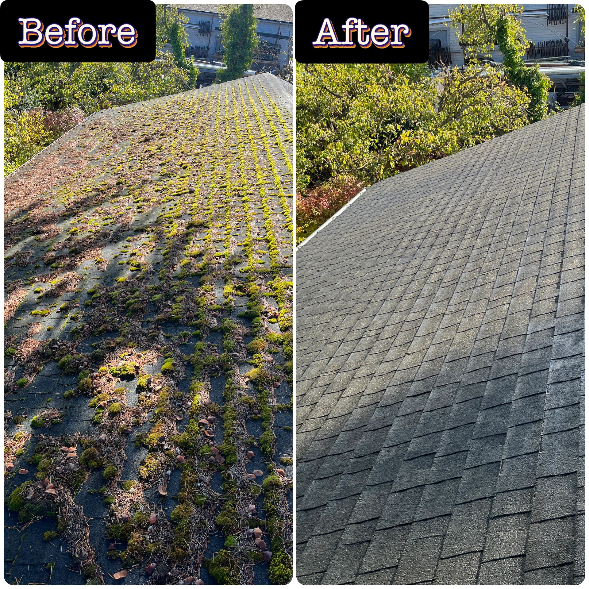 Before and after roof cleaning service showing moss and organic buildup removed from a Washington home roof